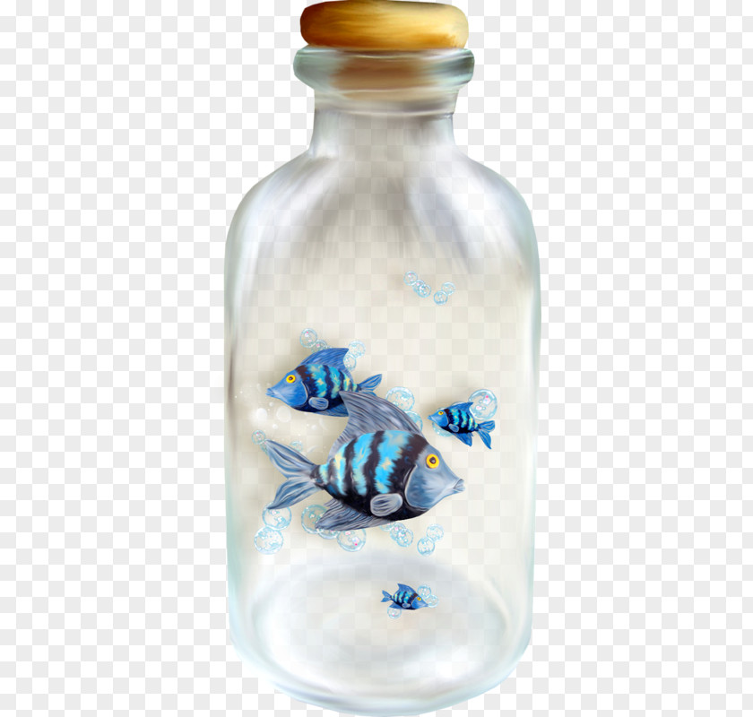 Bottle Fish In A Sushi & Grill Clip Art PNG