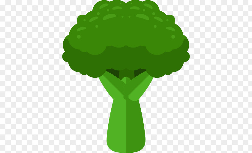 Broccoli Vegetable PNG