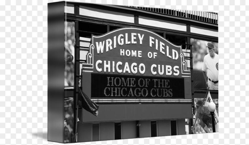 Chicago Cubs Wrigley Field Gallery Wrap Canvas Brand PNG