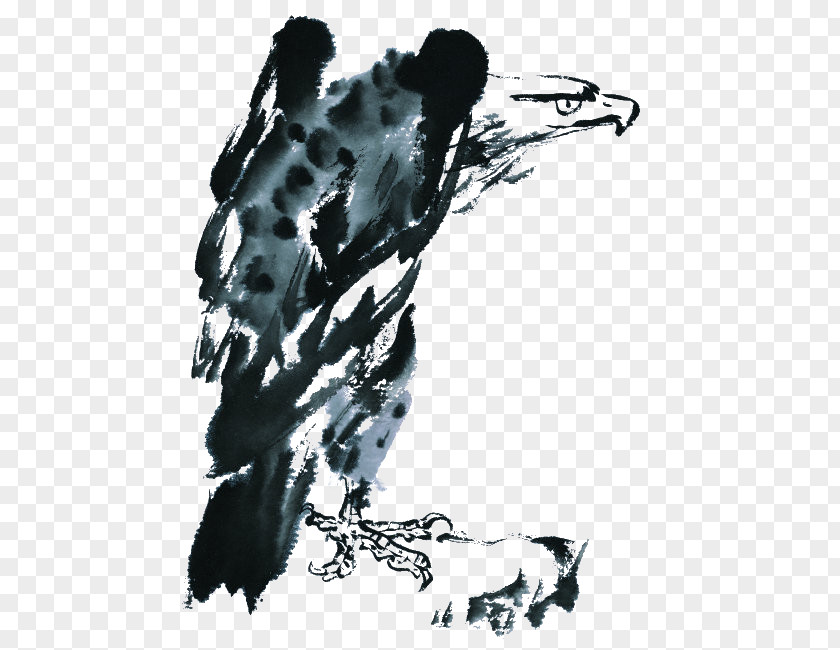 Eagle Visual Arts Black And White Ink Wash Painting Illustration PNG