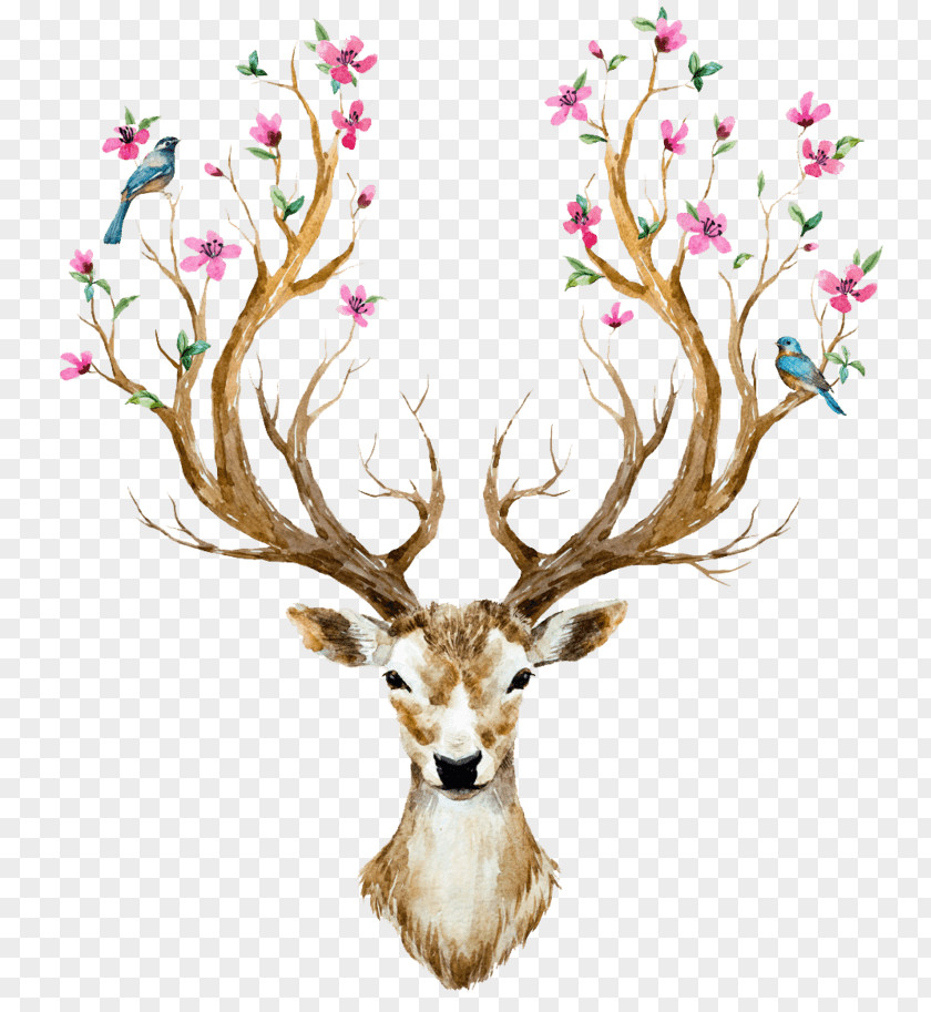 Elk Deer Antler Wall Decal Horn Flower PNG