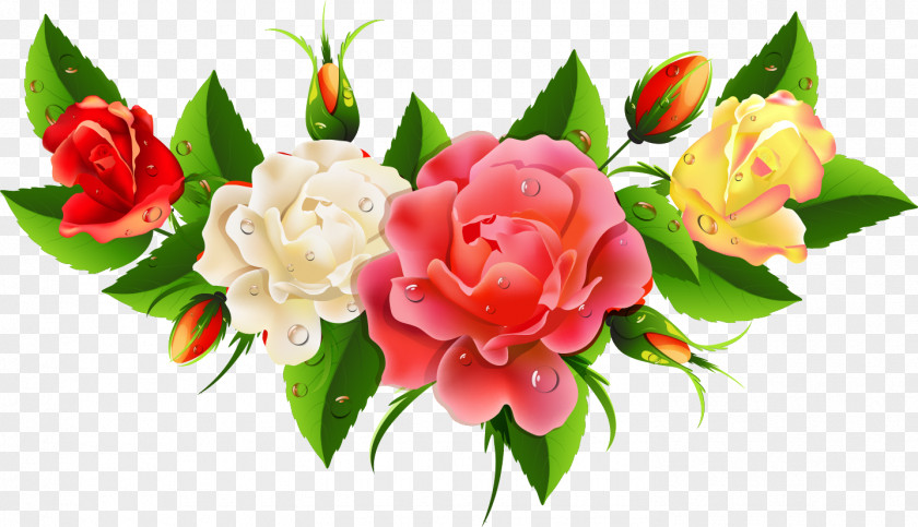 Floral Flowers PNG