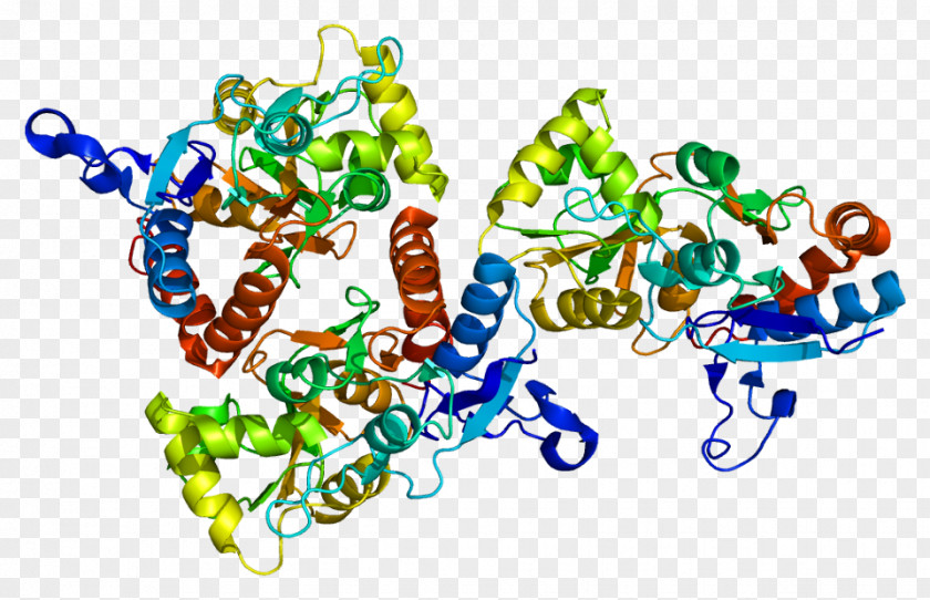 GRIA2 Protein Data Bank Ionotropic Glutamate Receptor Ligand-gated Ion Channel PNG glutamate receptor ion channel, others clipart PNG