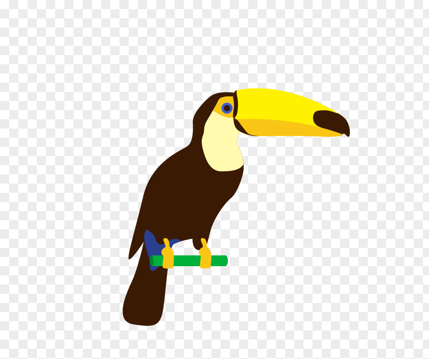 Parrot True Cartoon PNG
