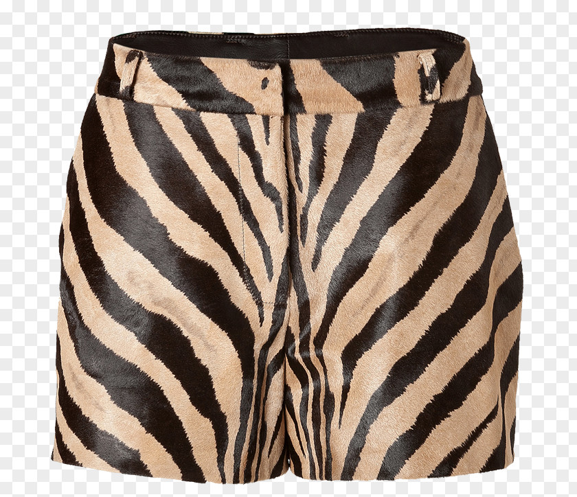 Zebra Print Mammal Shorts PNG