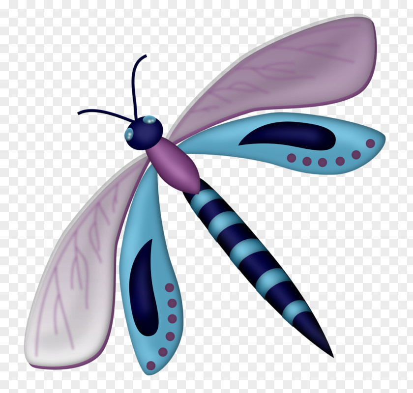 Butterfly Insect Clip Art Dragonfly PNG