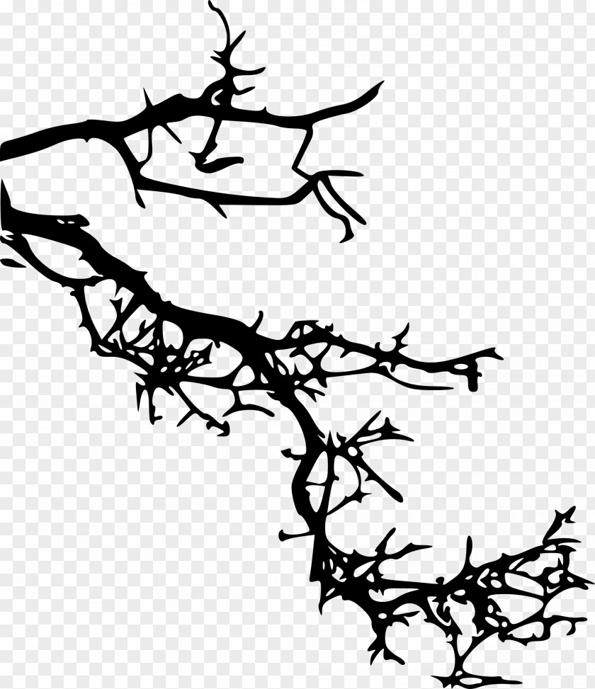 Plant Stem Coloring Book Tree Branch Silhouette PNG