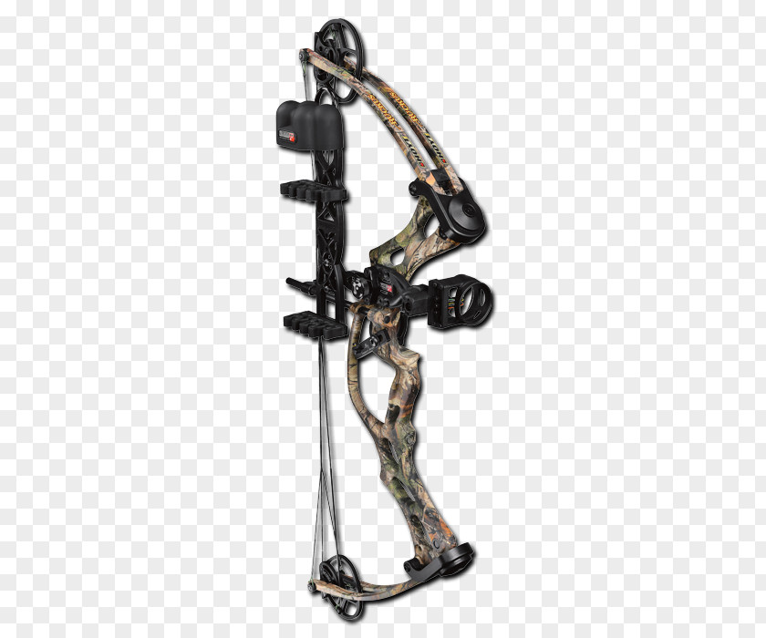 Archery Bow Styles Compound Bows And Arrow Hoyt Ruckus PNG