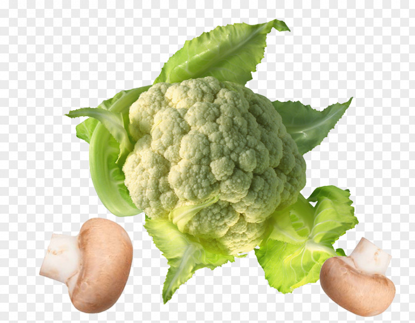 Creative Kitchen Cauliflower Cabbage Image File Formats PNG