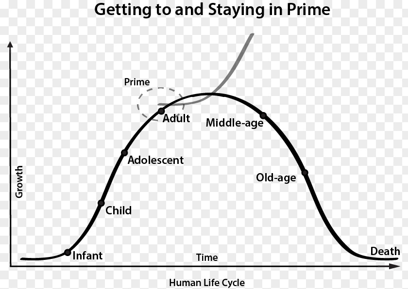 Cycle Biological Life Human Development Homo Sapiens Body Curve PNG