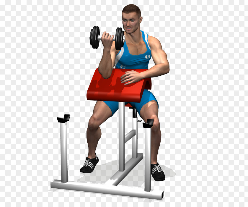 Totem Panca Scott Dumbbell Biceps Curl Bench PNG