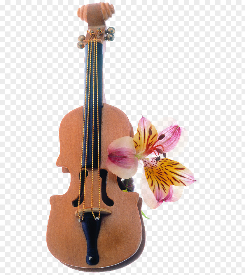 Violin Effect Element Flowers Flower Bouquet Floral Design Floristry PNG