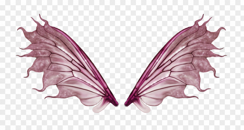 Wing Butterfly PNG