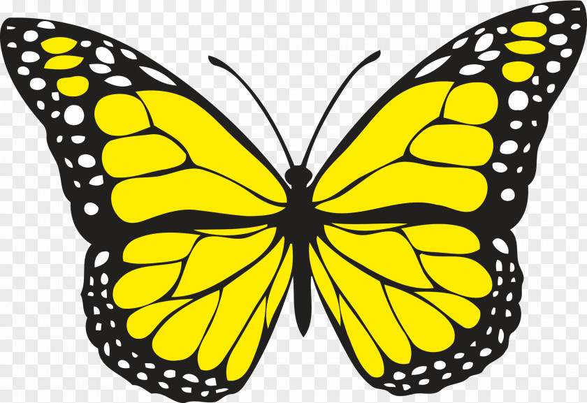 Yellow Butterfly Cliparts Clip Art PNG