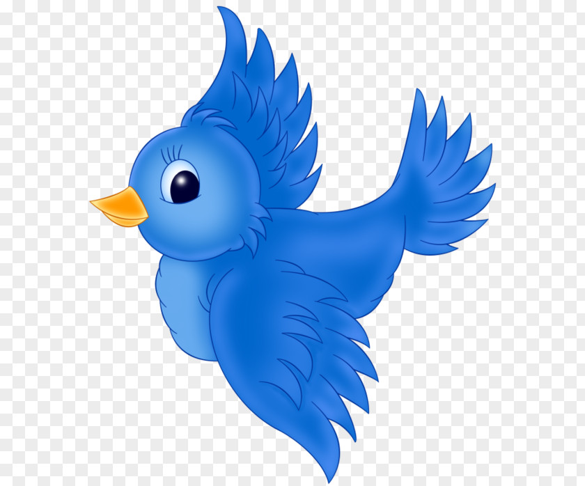 Bird Eastern Bluebird Western Clip Art PNG