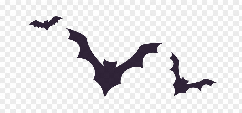 Black Bat Halloween Euclidean Vector Illustration PNG