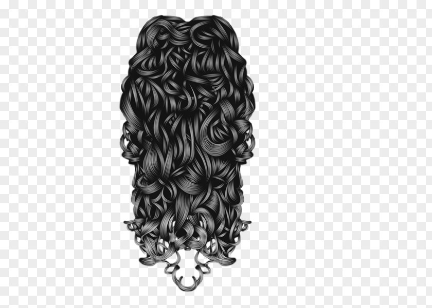 Hair Wig Capelli PNG