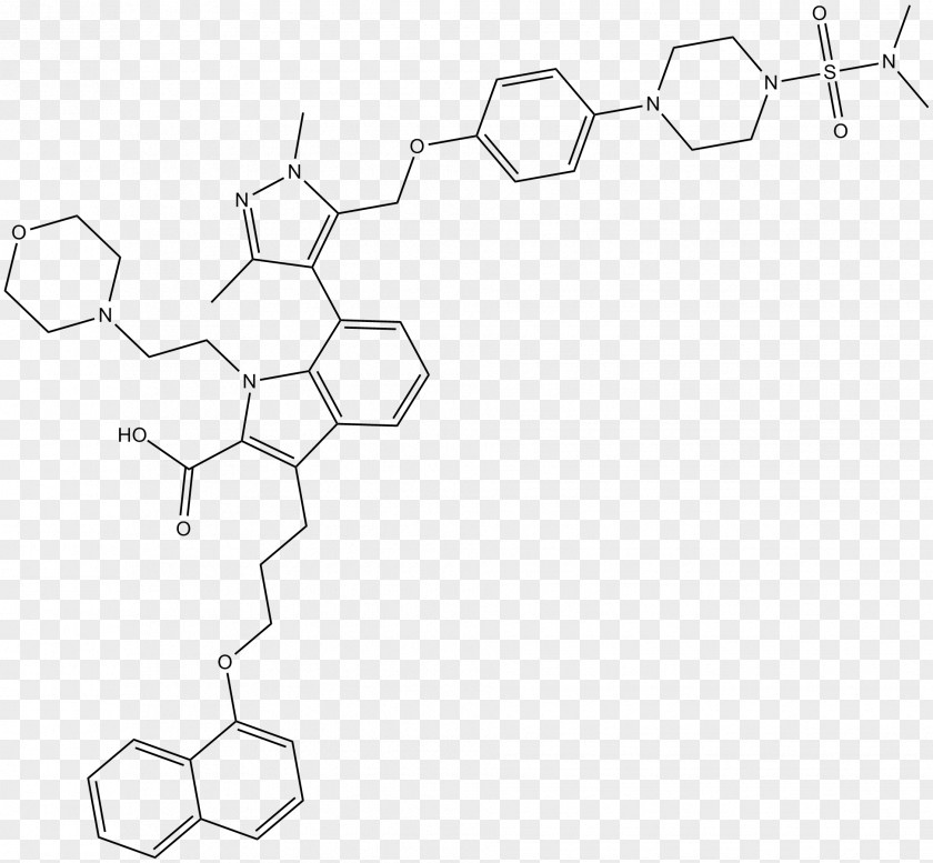 MCL1 Apoptosis Bcl-2 Family Bcl-xL PNG