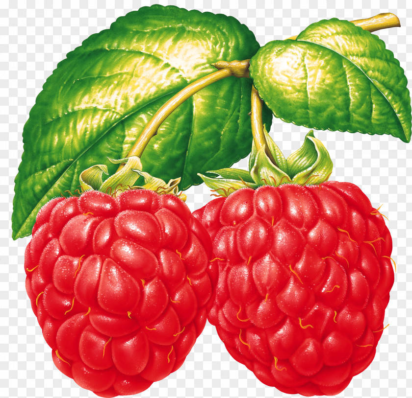 Rraspberry Image Raspberry Fruit Blackberry Food PNG