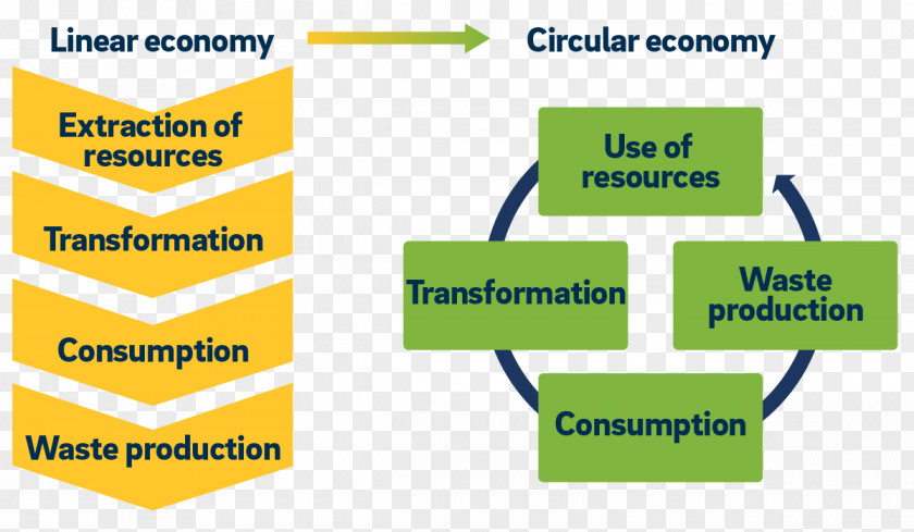 Circular Economy Audit International Financial Reporting Standards Waste PNG