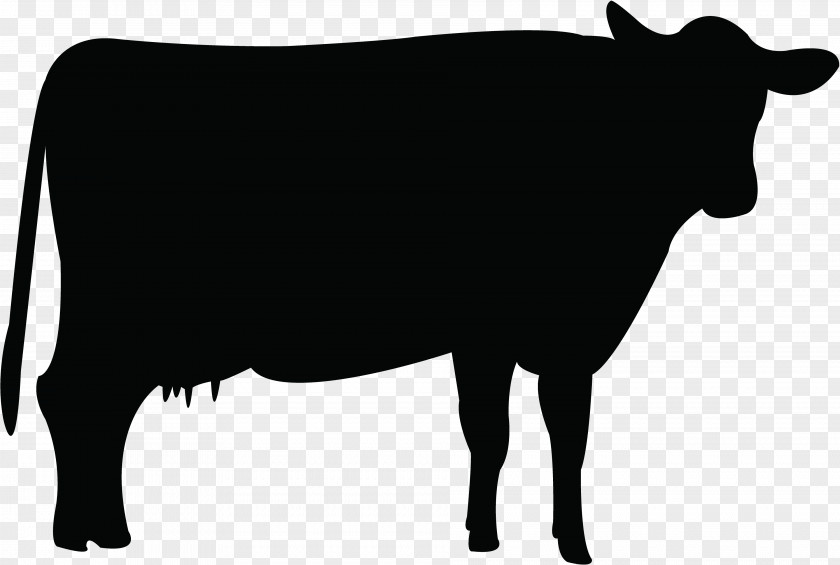 Cow Holstein Friesian Cattle Livestock Clip Art PNG
