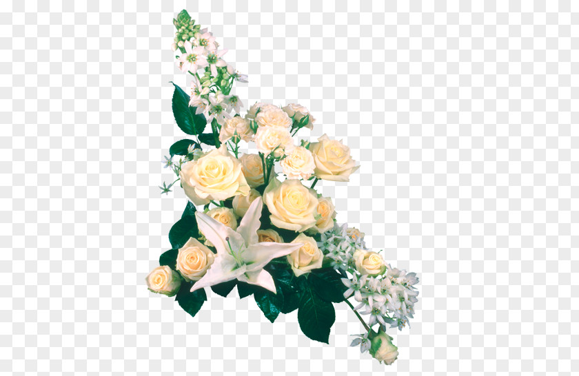 Design Floral Freelancer Graphic Garden Roses PNG