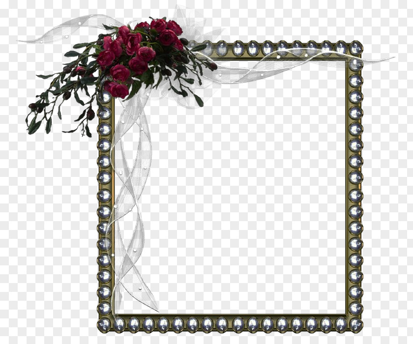 Floral Design Cut Flowers Picture Frames Rectangle PNG