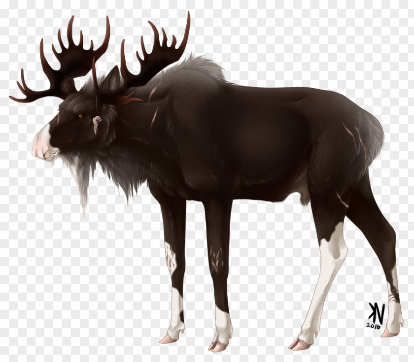 Mechanical Bull Moose Reindeer Cattle Antler Wildlife PNG