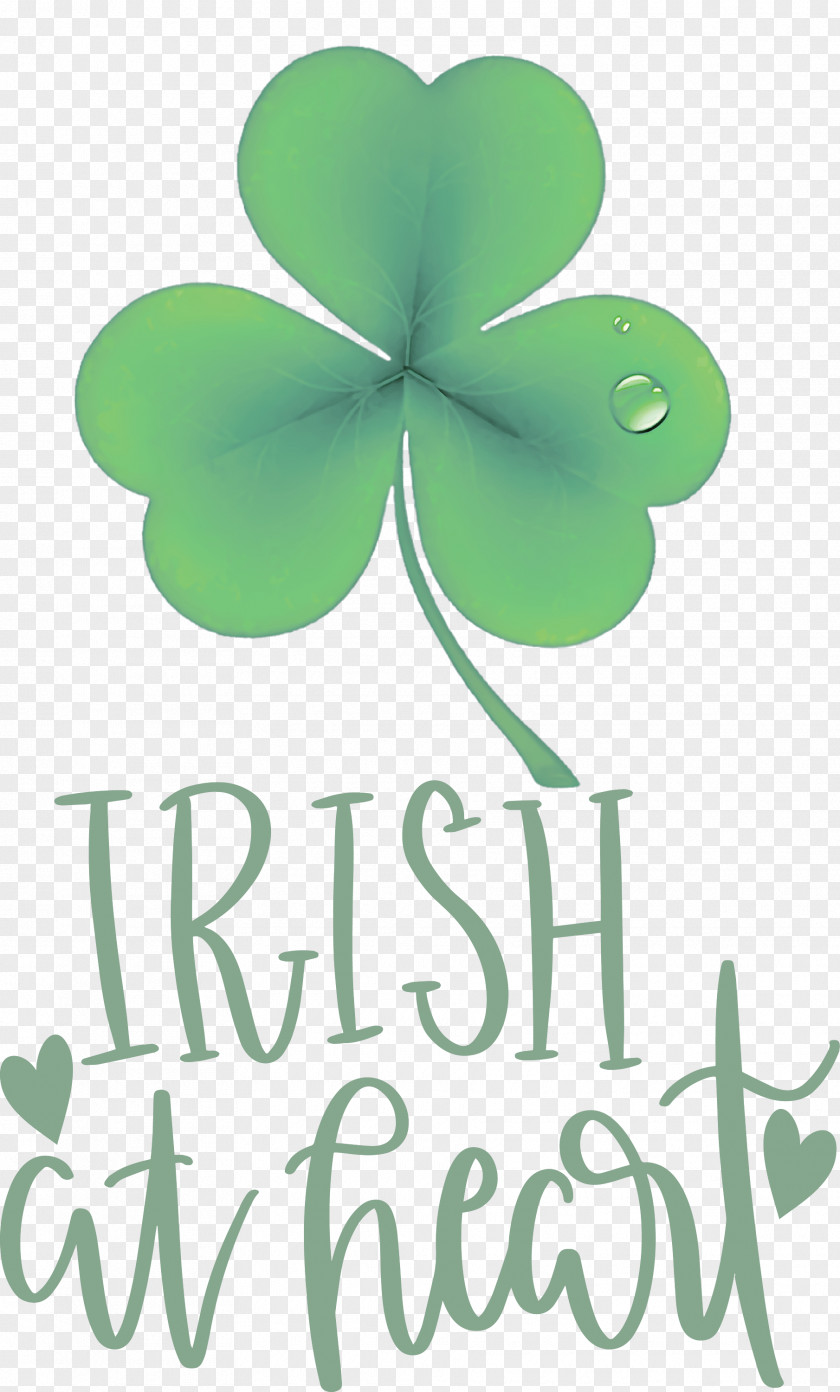 Shamrock Irish Saint Patrick PNG