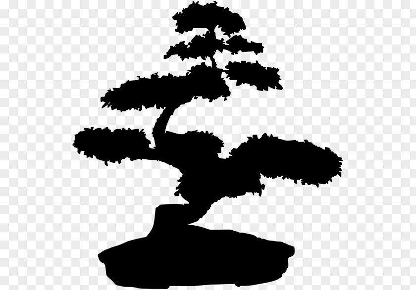 Tree Bonsai Wall Decal PNG