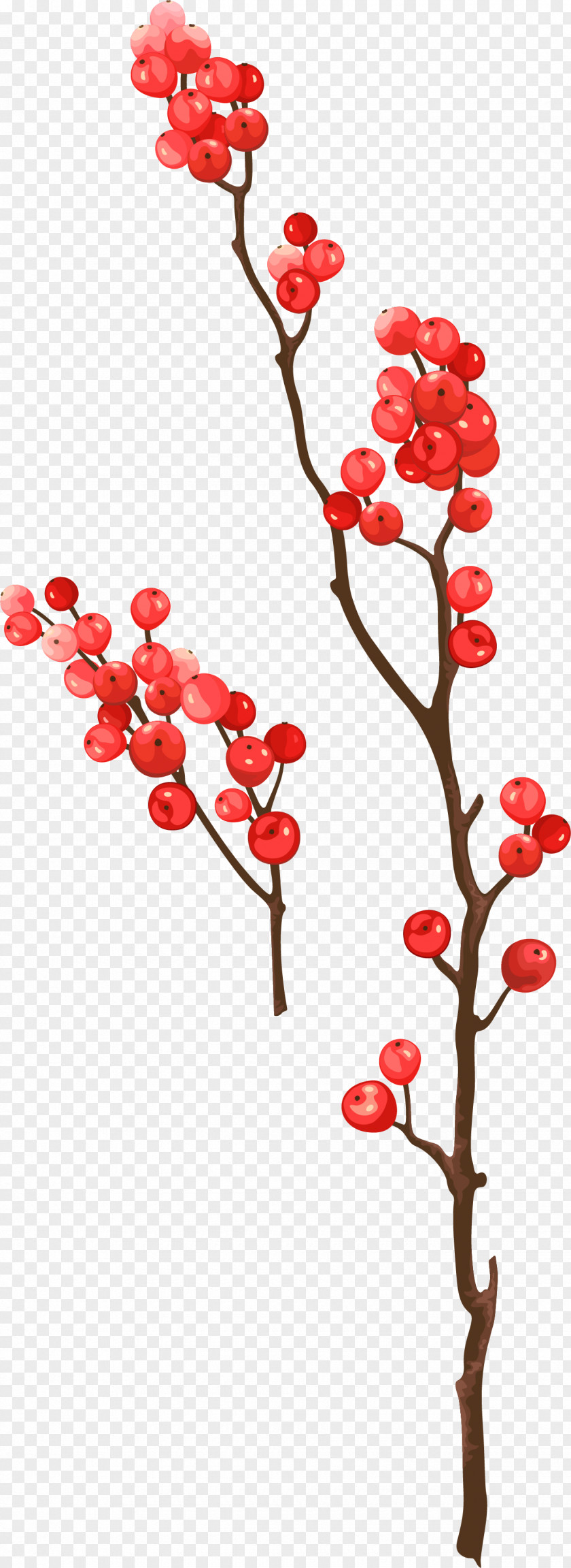 Vector Decorative Red Berries Frutti Di Bosco Berry PNG