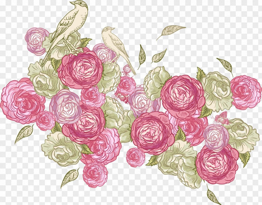 Vector Rose Diagram Color Photography Illustration PNG