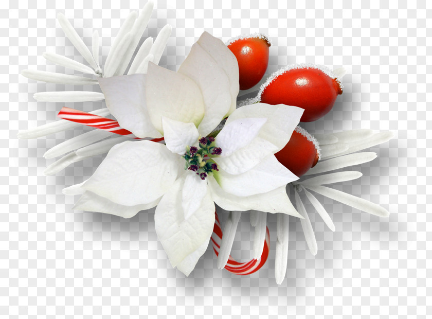 White Floral Decoration Pattern Christmas Clip Art PNG