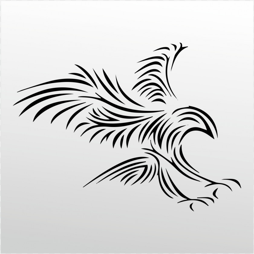 Eagle Bird Bald Clip Art PNG