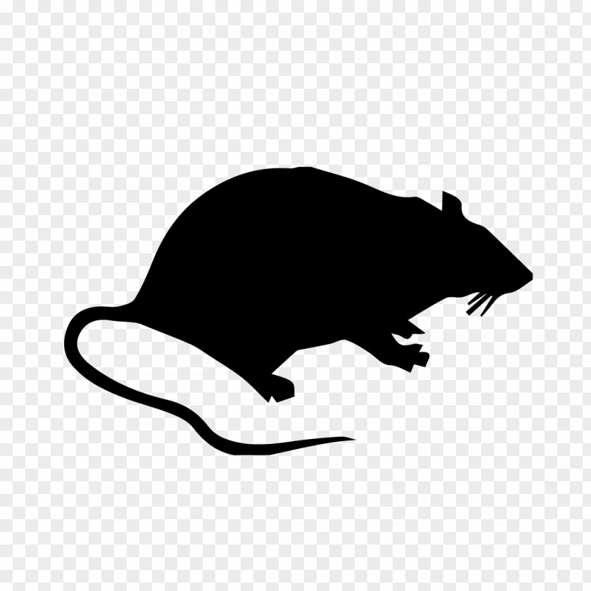 Pest Vector Brown Rat Rodent Mouse Control PNG