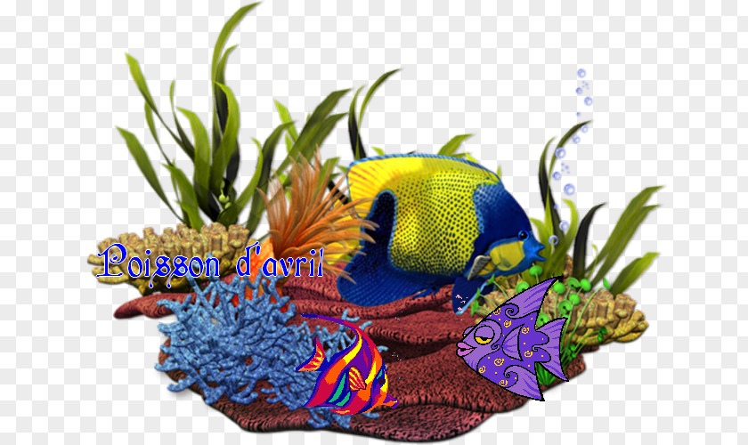 Sea Coral Reef Fish Clip Art PNG