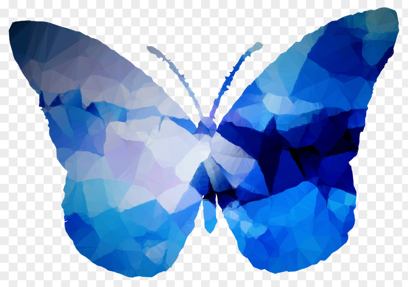 Art Facebook Symmetry Laptop M. Butterfly PNG