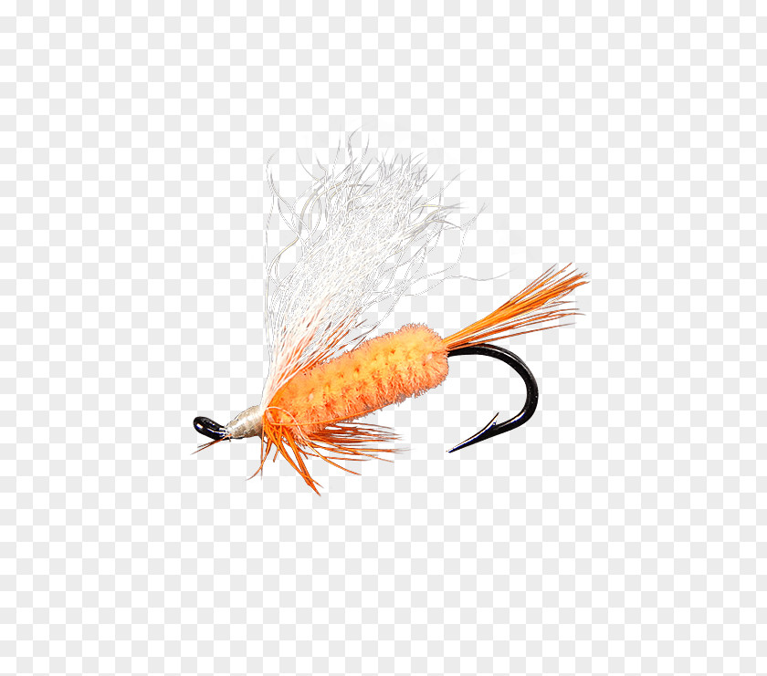 Fly Artificial Fishing Shrimp PNG