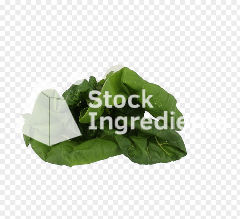 Leaf Vegetable Plastic PNG