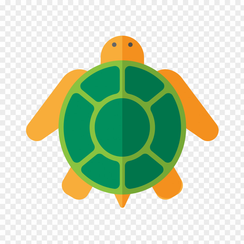 Painted Turtle Adobe Illustrator Artwork PNG