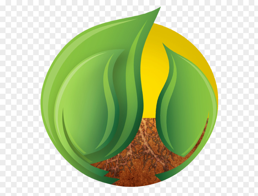 Symbol Logo Green Leaf Plate Tree Plant PNG
