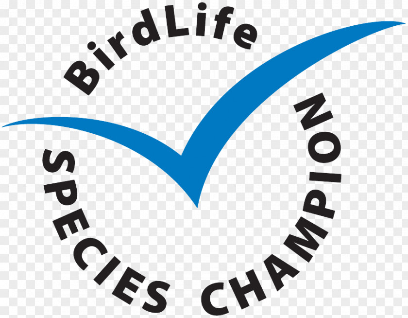 Bird British Birdwatching Fair New World Warblers BirdLife International PNG