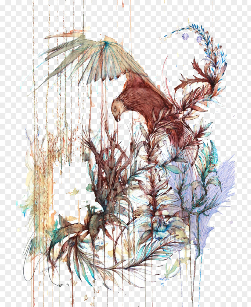 Eagle Drawing Watercolor Painting Artist Illustration PNG