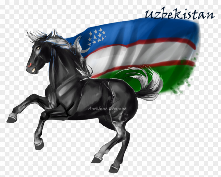 Horse & Hound Stallion Uzbekistan DeviantArt PNG