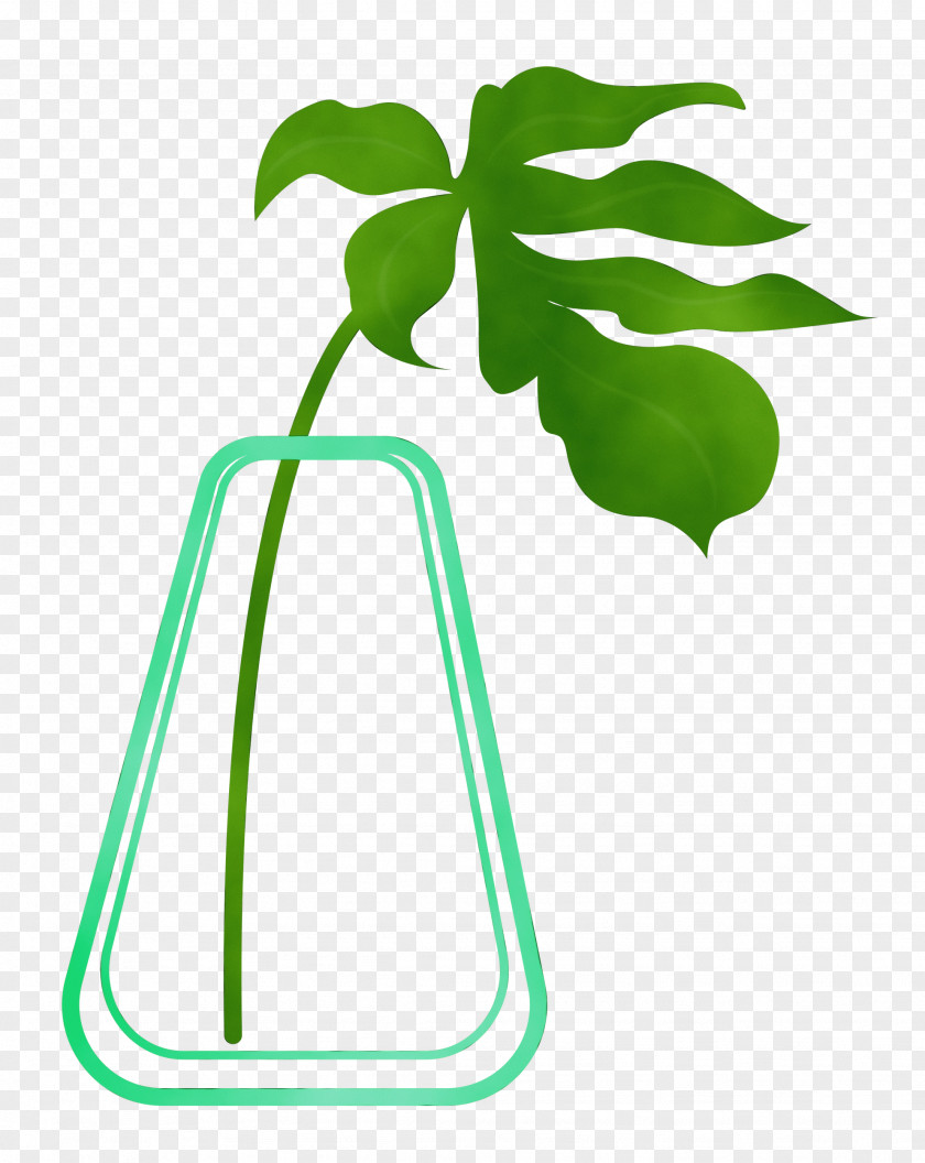 Leaf Plant Stem Green Tree Meter PNG