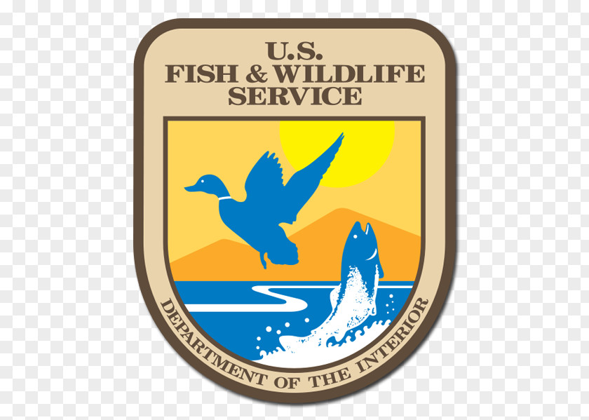 United States Endangered Species Act Of 1973 Fish And Wildlife Service Conservation PNG