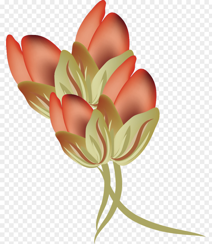 Vector Rose Bud PNG