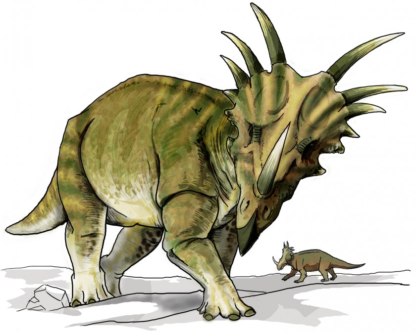 Dinosaur Utahceratops Provincial Park Ceratopsia Styracosaurus Kentrosaurus PNG