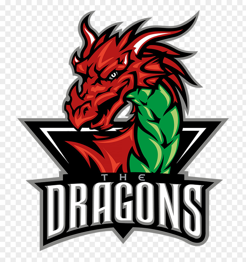 Dragon Ice Hockey Vancouver Dragons Deeside Sport Rugby League PNG