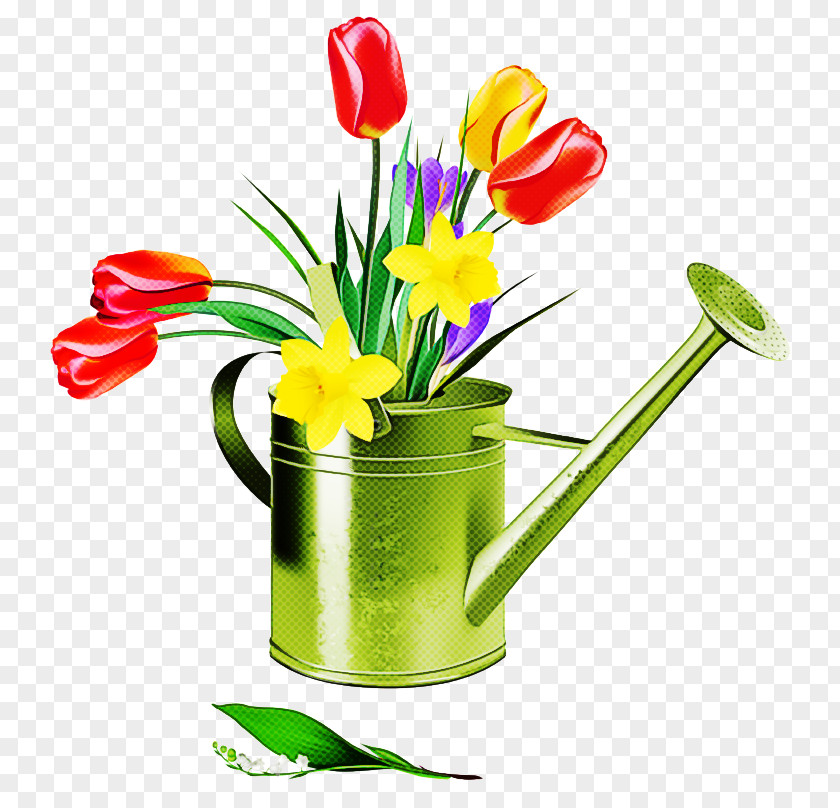 Flowerpot Cut Flowers Flower Tulip Watering Can PNG